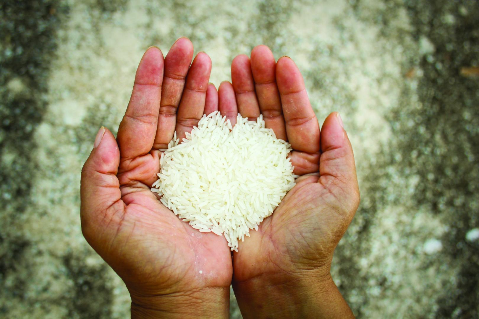 Rice fortification: Globally combatting malnutrition and supporting ...