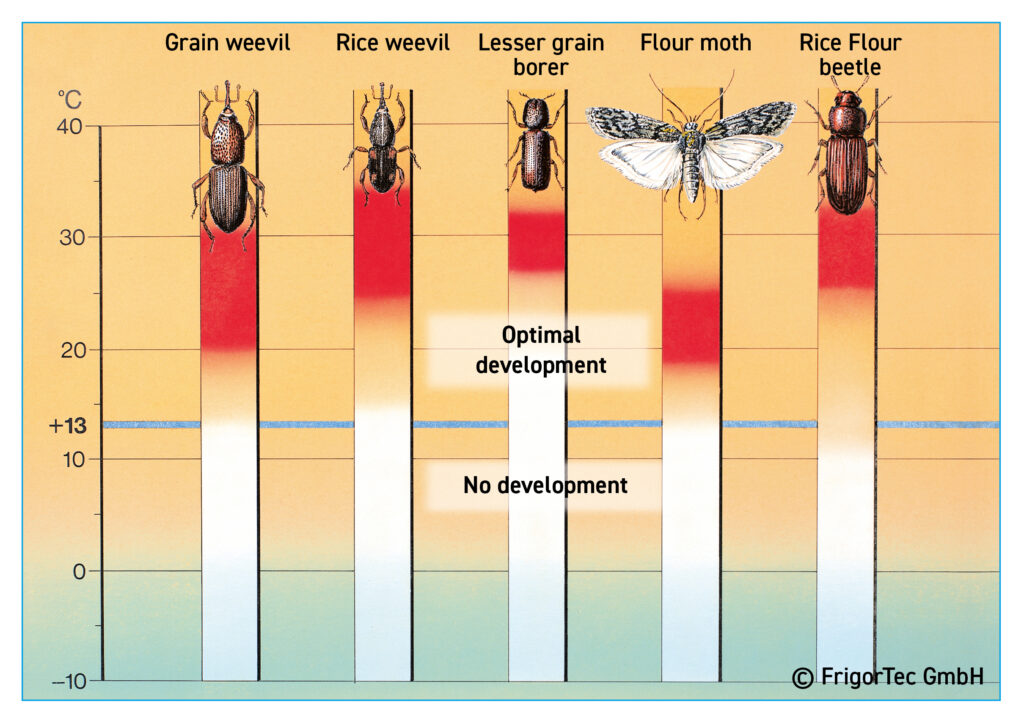 Temperature In Insect Preserving Grain, Preventing Loss: GRANIFRIGOR Sets New Global Standard ...