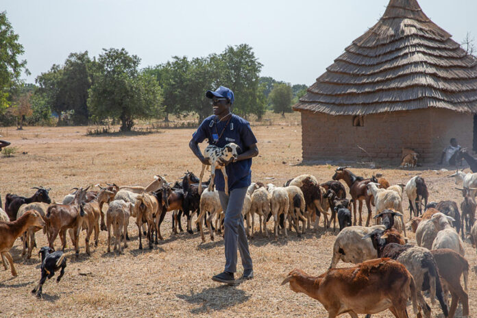 FAO transboundary animal diseases programme