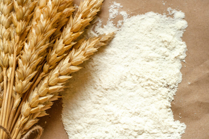 Italian flour exports