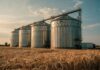 Egypt Expands Wheat Storage with Private Support Egypt wheat storage expansion
